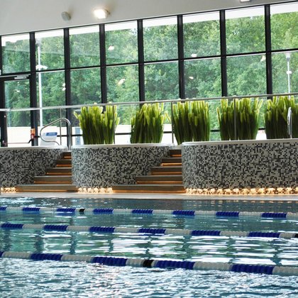 Trzy wanny jacuzzi obłożone szarą mozaiką ceramiczną umiejscowione wzdłuż przeszklonej ściany hali. Przed wannami widać część basenu sportowego, za nim donice z zieloną roślinnością. 