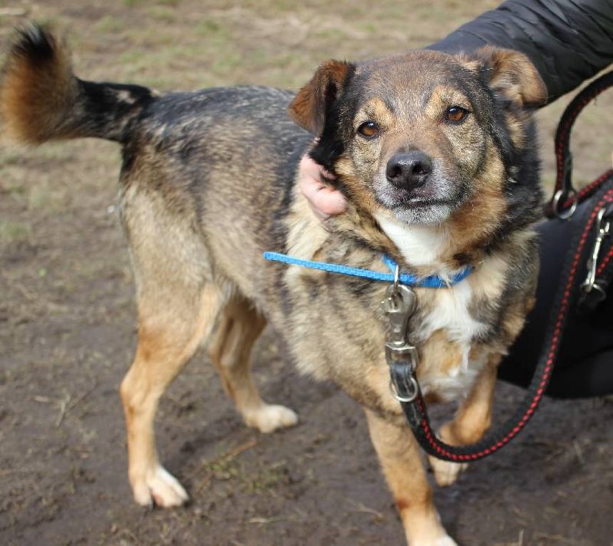 fot. Schronisko w Łodzi