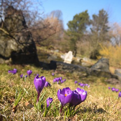 Ogród Botaniczny w Łodzi, fot. ŁÓDŹ.PL