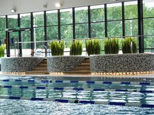 Trzy wanny jacuzzi obłożone szarą mozaiką ceramiczną umiejscowione wzdłuż przeszklonej ściany hali. Przed wannami widać część basenu sportowego, za nim donice z zieloną roślinnością.