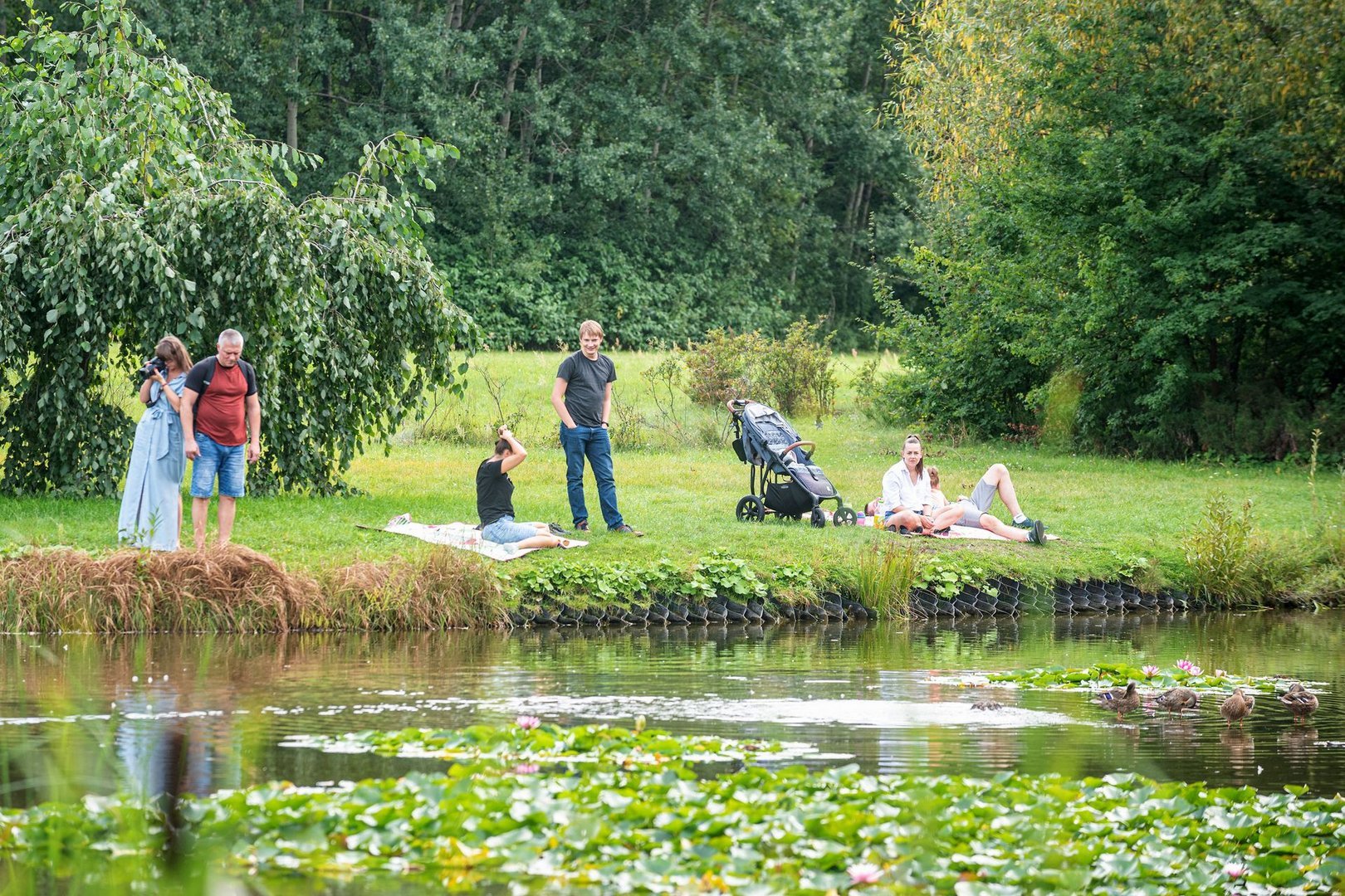W Ogrodzie Botanicznym kwitnie już mnóstwo kwiatów W Ogrodzie Botanicznym kwitnie już mnóstwo kwiatów, Łódź.pl