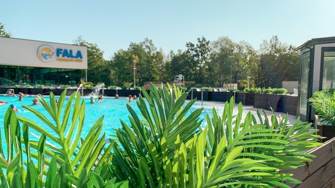 Zdjęcie ukazuje basen wypływowy w słoneczny dzień, widać halę basenową z logotypem FALI, ludzi kąpiących się w basenie. Na pierwszym planie są zielone liście palm zasadzone w drewnianych donicach. 