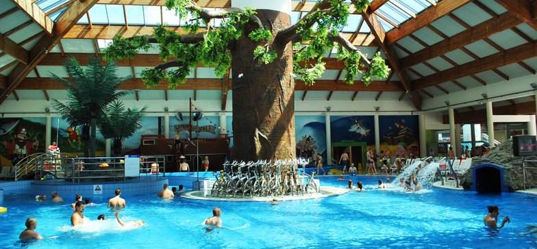 Wewnętrzny basen rekreacyjny - dookoła kolumny dekoracyjnej w kształcie drzewa tropikalnego pływają klienci. Drzewo otoczone jest rowerkami do zajęć Aqua Bike.