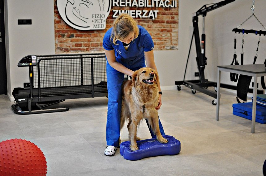 archiwum Fizjo-Pet-Med Kliniki Rehabilitacji Zwierząt w Łodzi
