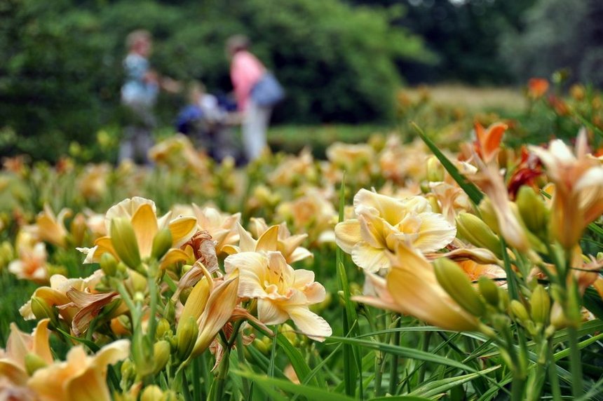 fot. Ogród Botaniczny w Łodzi