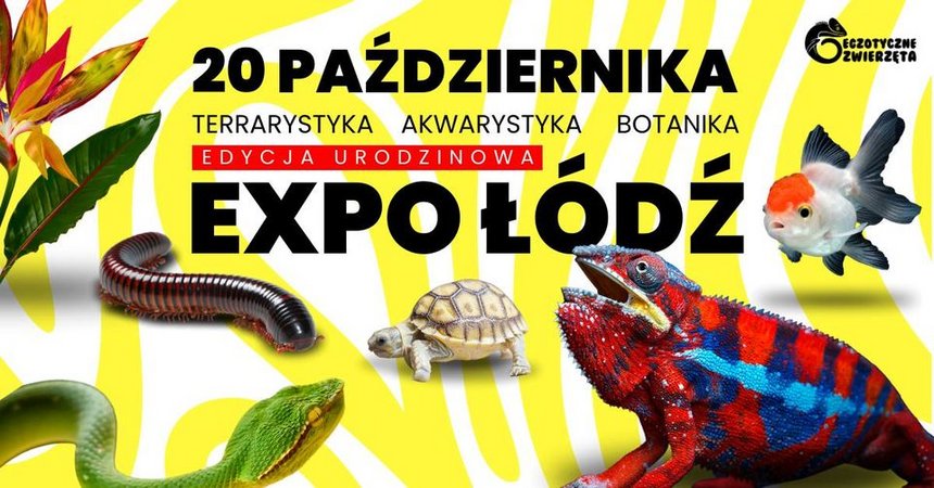 EGZOTYCZNE ZWIERZĘTA - Edycja Urodzinowa - Terrarystyka, Akwarystyka, Botanika w Hali EXPO