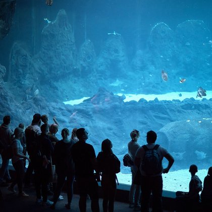 Strefa oceaniczna w Orientarium w Łodzi, fot. ŁÓDŹ.PL