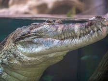 fot. Łódź.pl/Paweł Łacheta