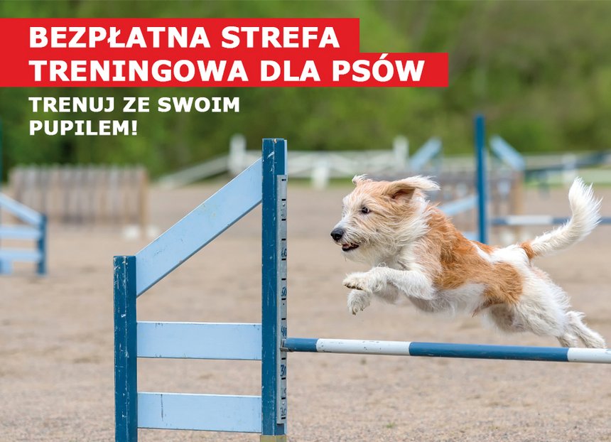 fot. mat. Port Łódź