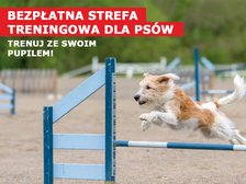 fot. mat. Port Łódź