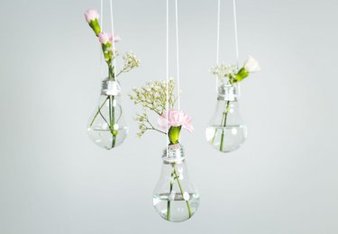 fot. Jagoda Kondratiuk/ domena publiczna