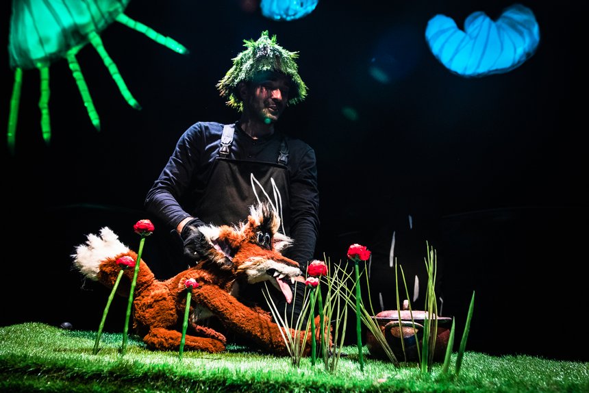 „Wielki zły lis" w Teatrze Lalek Arlekin